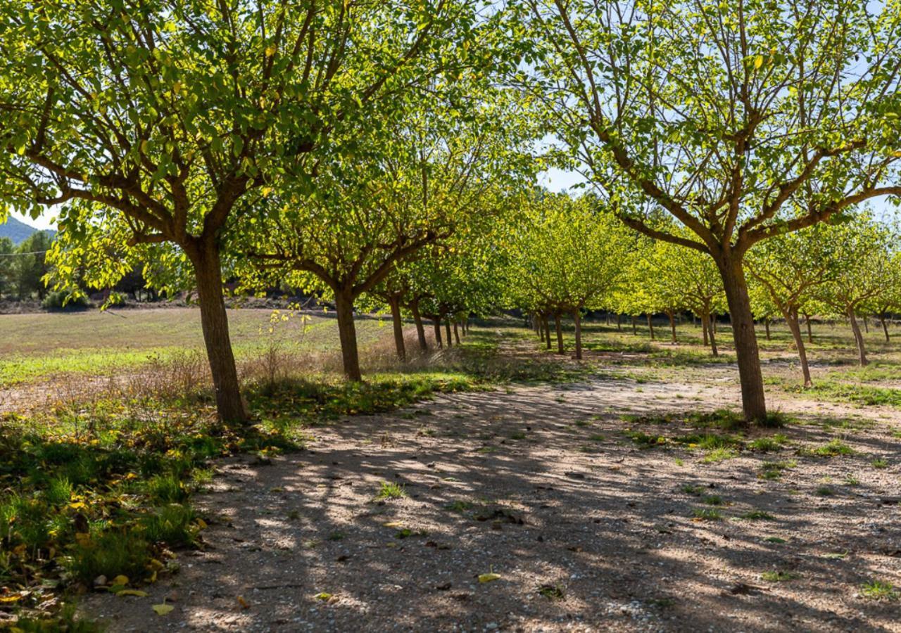 Masia Aubareda San Marti de Tous Екстер'єр фото