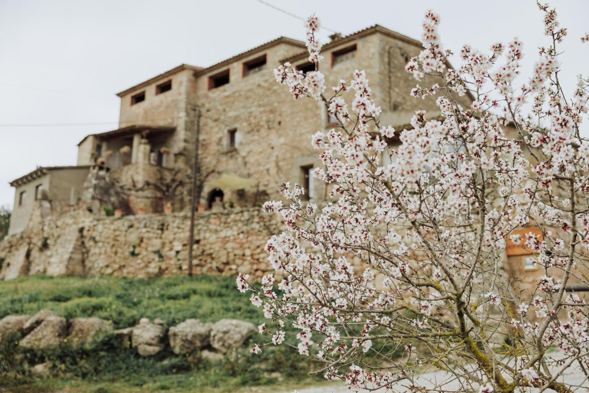 Masia Aubareda San Marti de Tous Екстер'єр фото